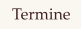Termine